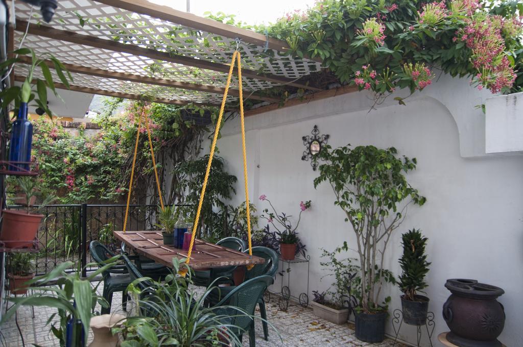 La Hamaca Hostel - סן פדרו סולה מראה חיצוני תמונה